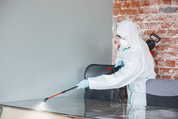 Mold Odor Removal Services in Westwood, CA